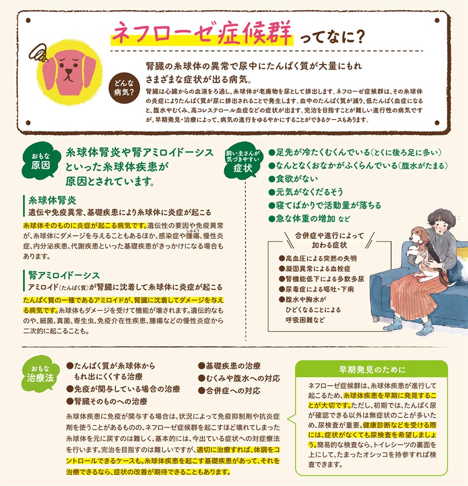 【いぬの病気】そこが知りたい！〜ネフローゼ症候群って？〜