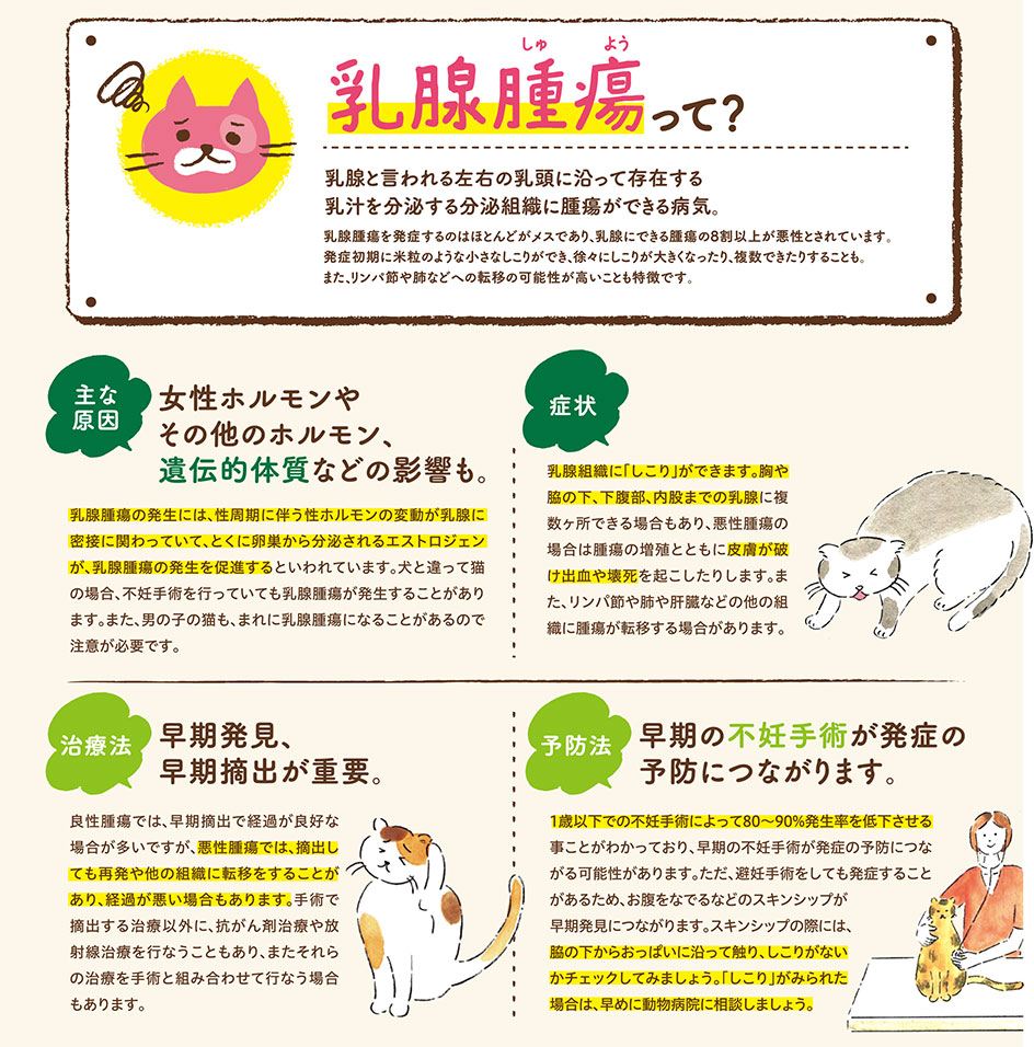 【ねこに多い病気】そこが知りたい！〜乳腺腫瘍って？〜