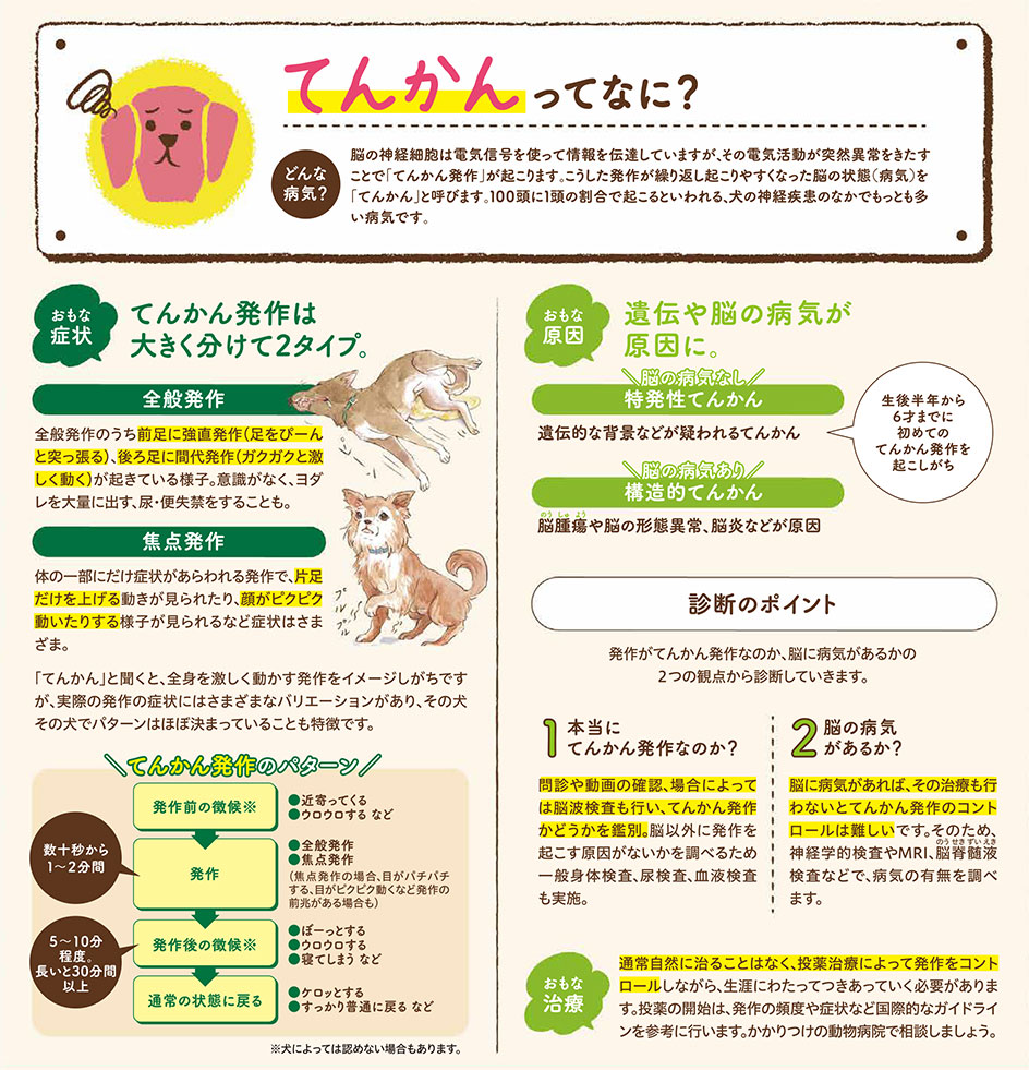 【いぬの病気】そこが知りたい！〜てんかんって？〜