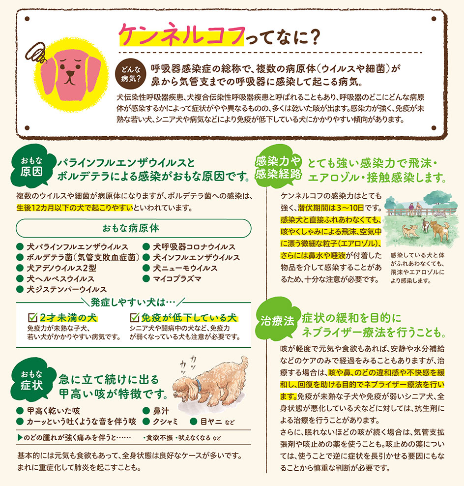 【いぬの病気】そこが知りたい！〜ケンネルコフって？〜