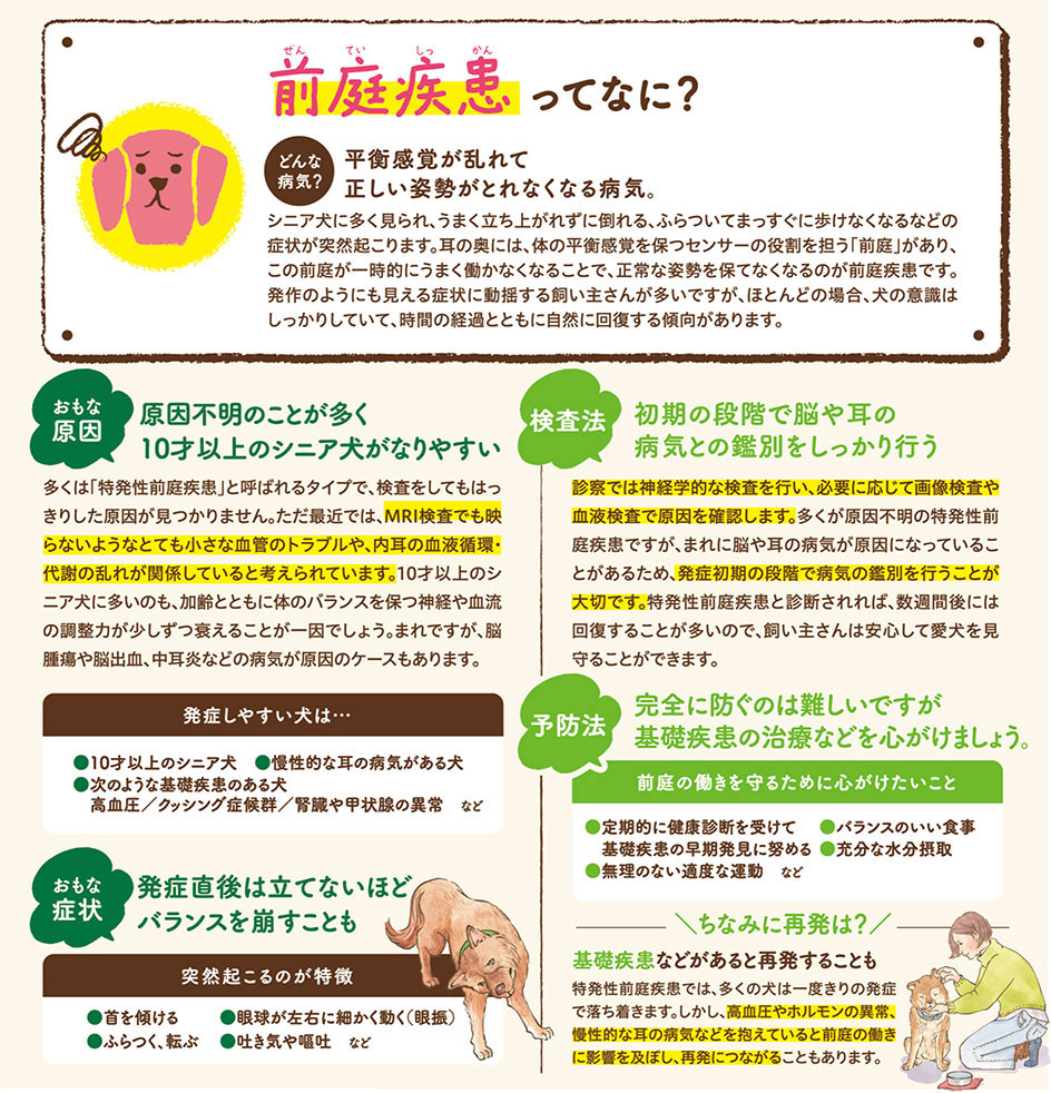 【いぬの病気】そこが知りたい！〜前底疾患って？〜