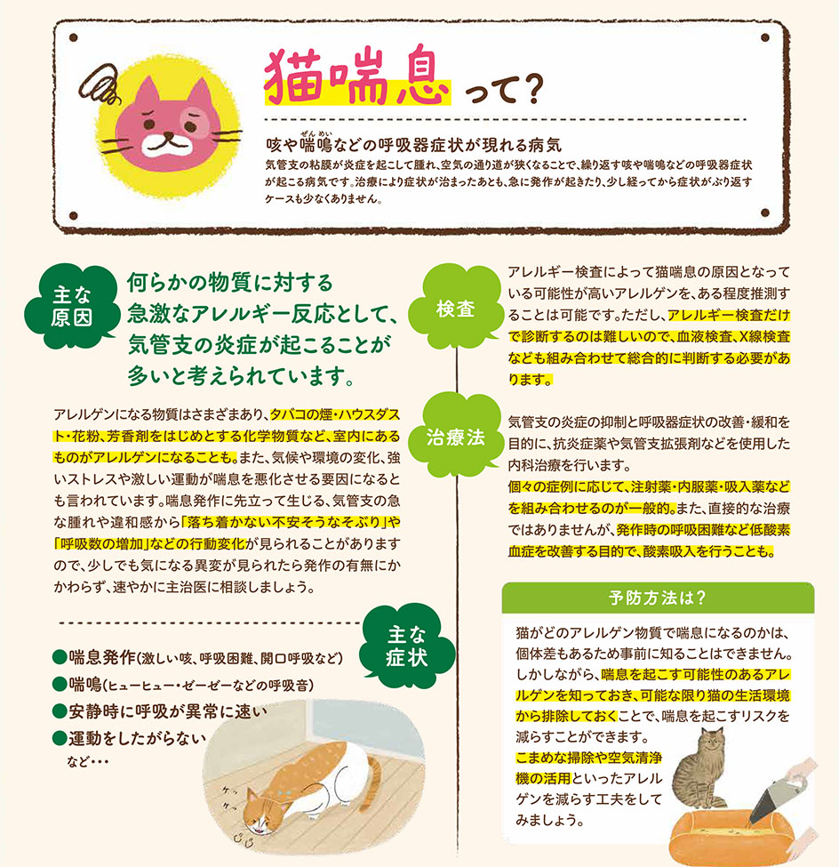 【ねこの病気】そこが知りたい！〜猫喘息って？〜