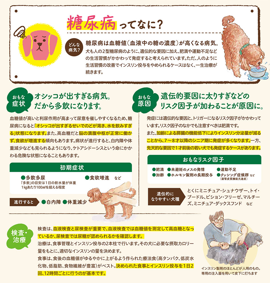 【いぬの病気】そこが知りたい！〜糖尿病って？〜