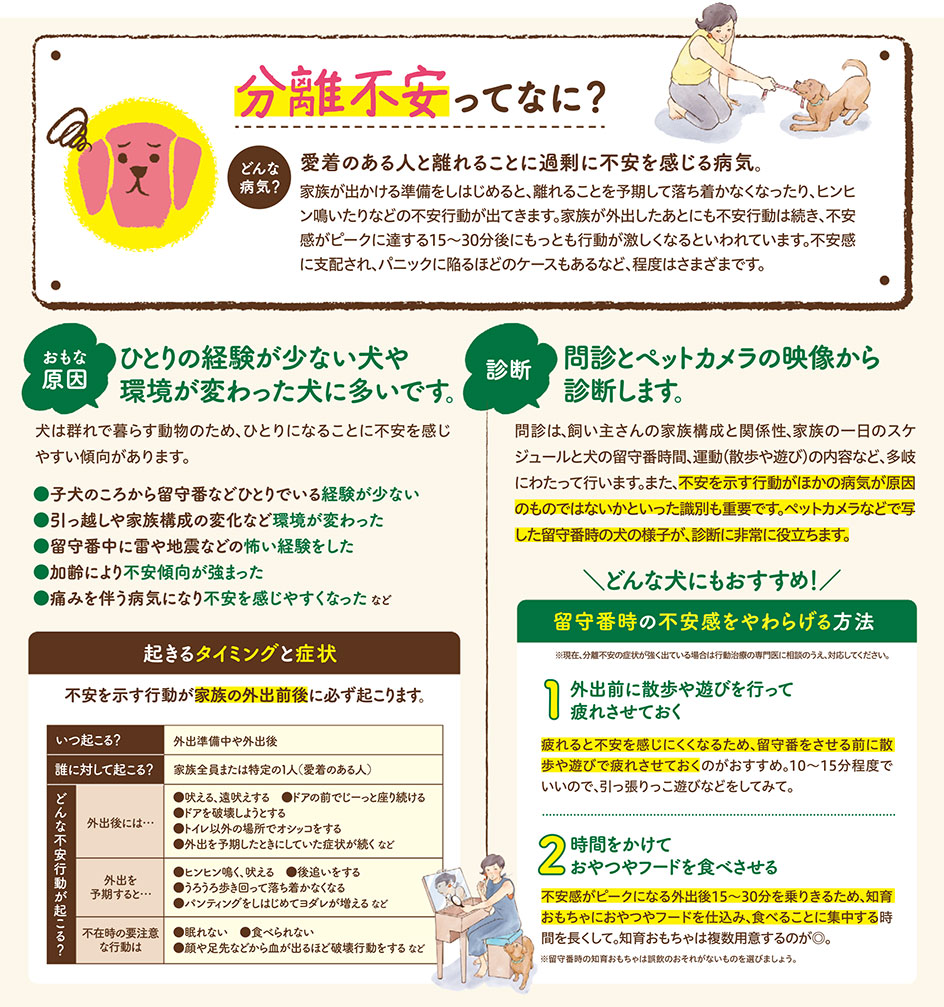 【いぬの病気】そこが知りたい！〜分離不安って？〜