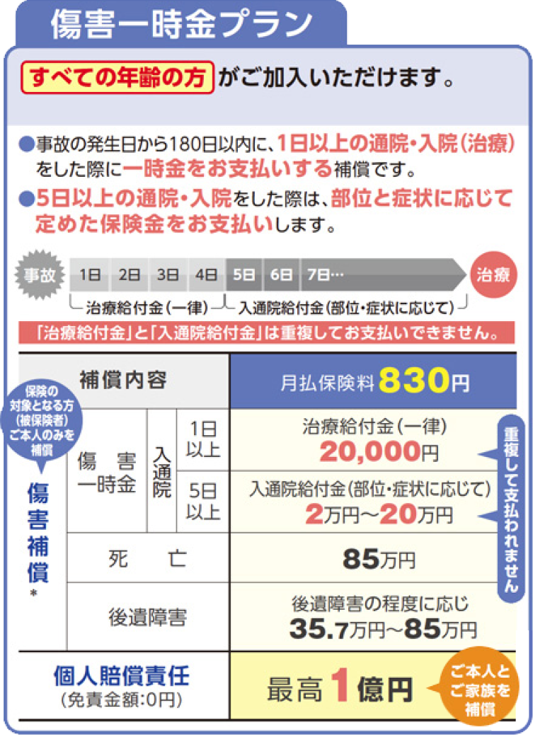 障害一時金プラン