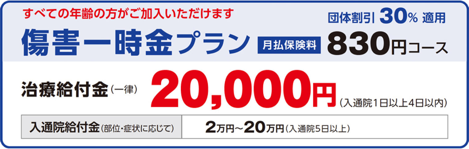 傷害一時金プラン:プラン概要のイメージ